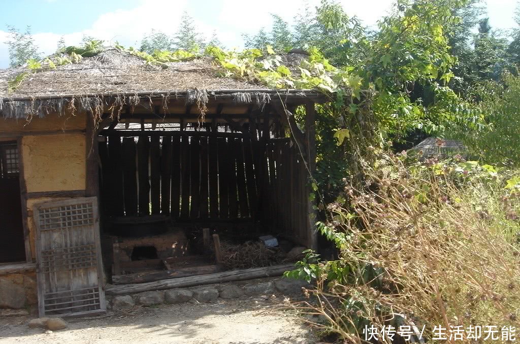 中国与韩国的差距很大吗看看韩国的农村便可知