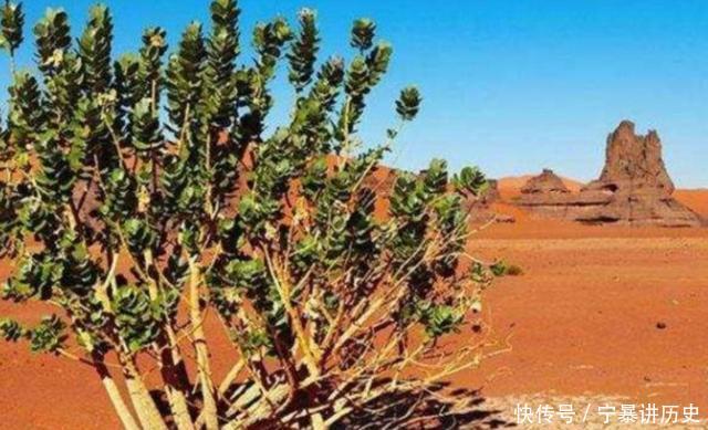 如果人类找到把沙漠挖空的办法，那沙漠最底下会是什么？涨知识了