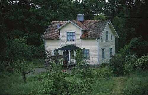  农村■农村新“怪象”：地里全种树，房子空气住，汽车全是土，