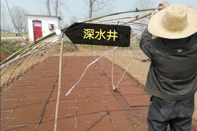  [打一眼深水井]三干两旱的丘陵地区，怎样把200米以下的地下水抽上来插秧种庄稼