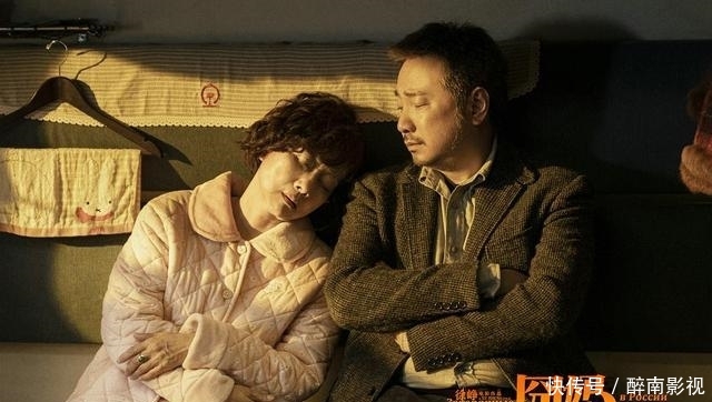 春节档免费播出