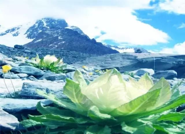 川藏线10日寻梦之旅,可以说是人类“最后的秘境”(内附线路)!