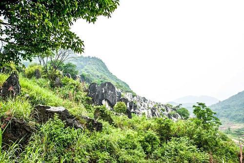 广西最壮观的石林，原生态的风景令人称奇，春节你想去看看吗？