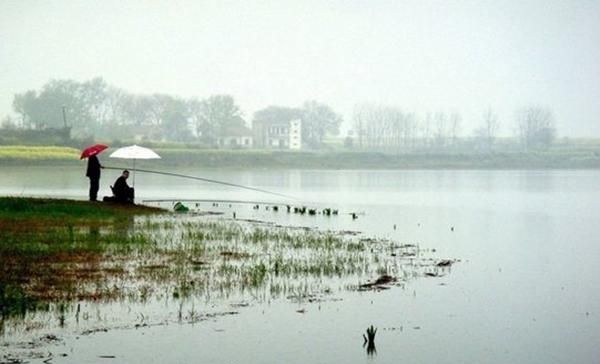  「绵绵细雨」最适合春季钓鱼几种天气，这些天气鱼儿疯狂开口，收获肯定差不了