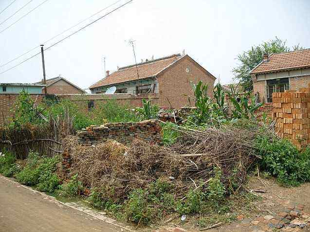 华西村人均年收入_农村人均年收入是多少