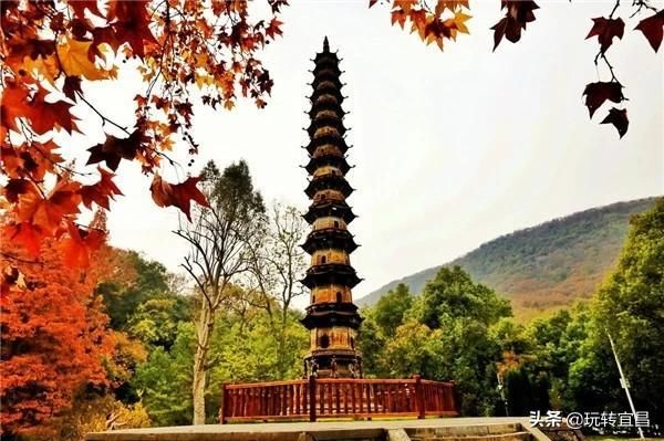 湖北当阳玉泉寺，千年银杏身“披”黄金甲