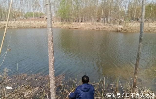 钓上来■鲤鱼闯进鲫鱼窝,怎么办?几个回合把它钓上来!
