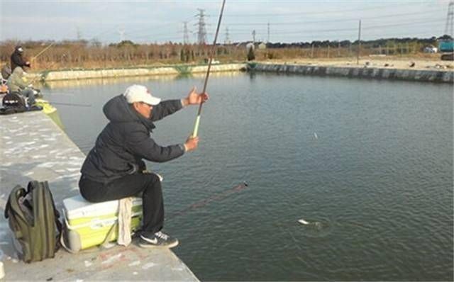  『情况』不打窝渔获好，打窝后反而没渔获，到底是什么情况