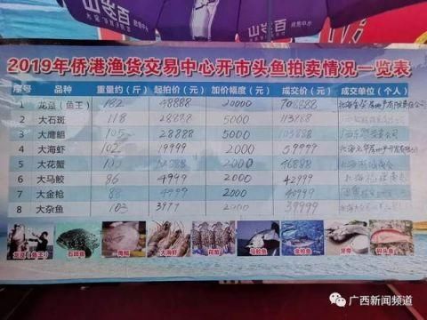 今天，北海一条鱼卖了708888元！最新海鲜价格是这样的