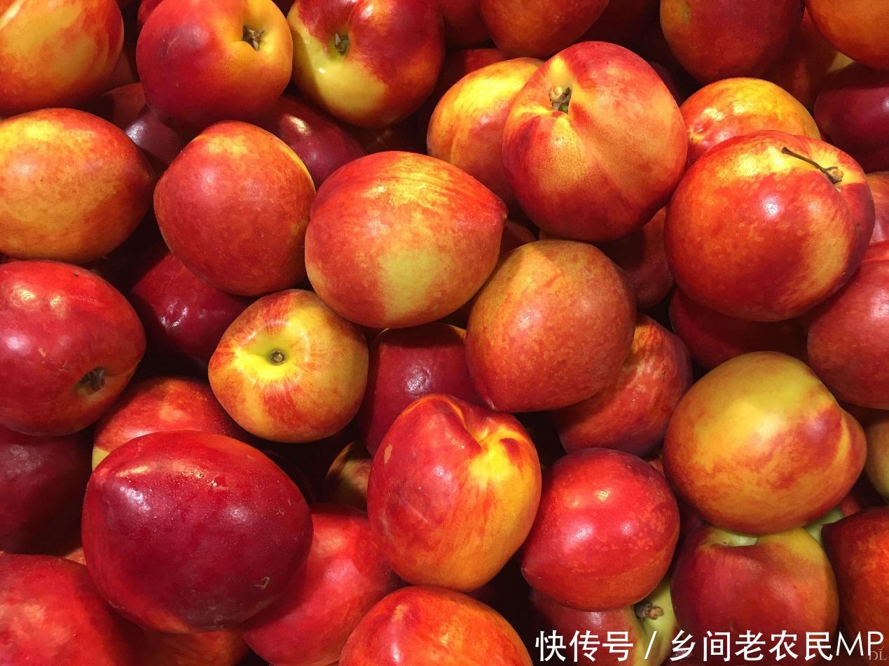 农村树上这种红色果子, 除了能生津止渴外, 还有