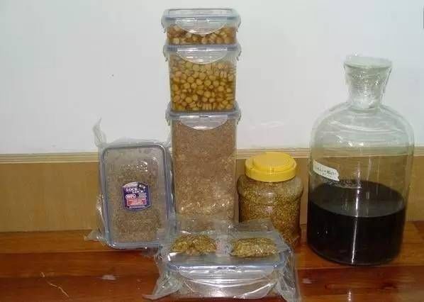  『发芽后的玉』自制药酒泡玉米，为何总是泡不出味，因为酒和玉米都没处理到位