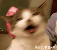 中到大雨→局地暴雨河北新一轮降雨马上到接下来天气这样变……！