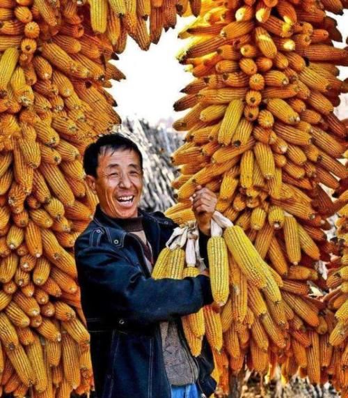  2020年：辟谣：中央没有发布了“全国强拆令”！2020年大规模实