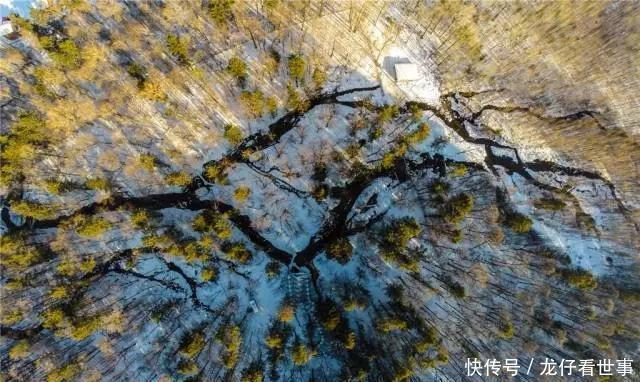  「瓶装水」中国瓶装水巨头诞生：打败娃哈哈怡宝，靠一瓶水赚来