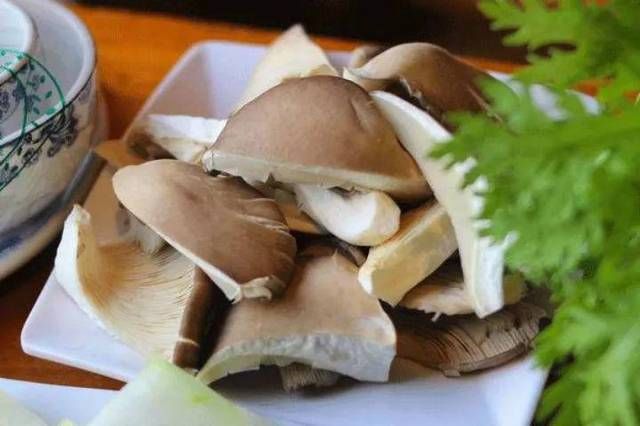  #路边#路边丢的“菌包”，老爹捡回家，三天两头一喷水，长出了大蘑菇