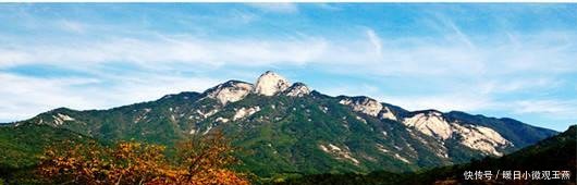 国内唯一零差评的景区, 被誉为华东最后一片原始森林, 可谓天堂!