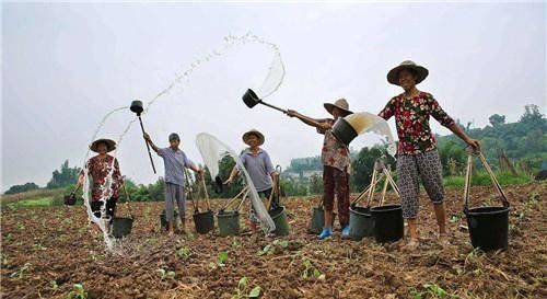  「确权」老农说：“土地确权一测量多出来好几亩地”，这是好事