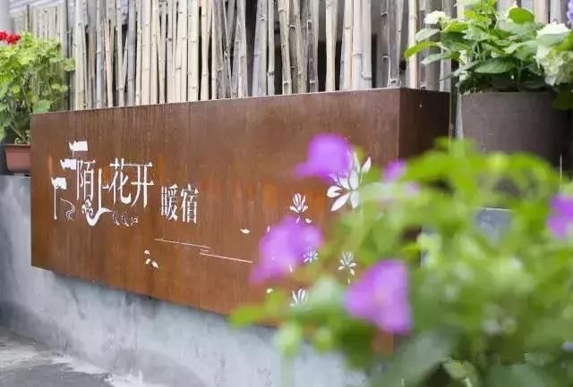 工作20年就退休，带4个闺蜜归隐山林，过上神仙般的生活