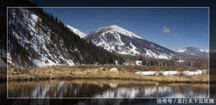 欧洲河狸入侵阿尔泰山?将树木吃成“沙漏状”,还是我国保护动物