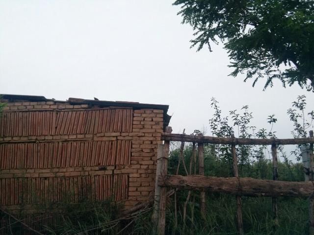 秋天的思绪，在秋风中驰骋