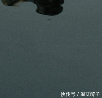  「值得」魔都女孩，值得穿出自己的“态度”！