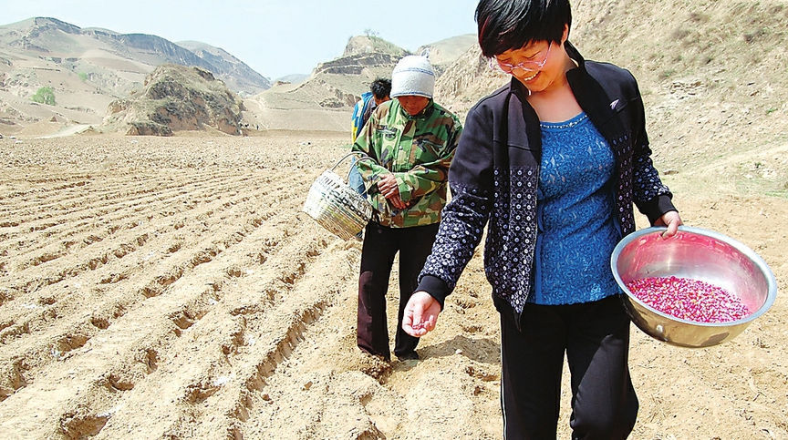  人人|不出几年，农村4种人大概率要富了，机会人人有，农民要把