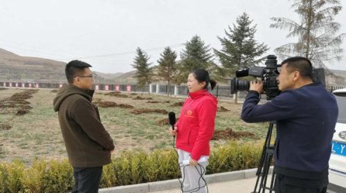 『平凉红牛』“奔赴”香港闯“钱途”静宁有个“致富宝”