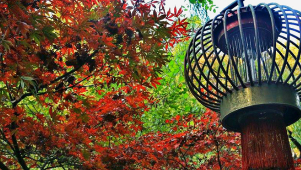 湖南千年未更名换址城市，有望成下一特大城市，城市进步有目共睹