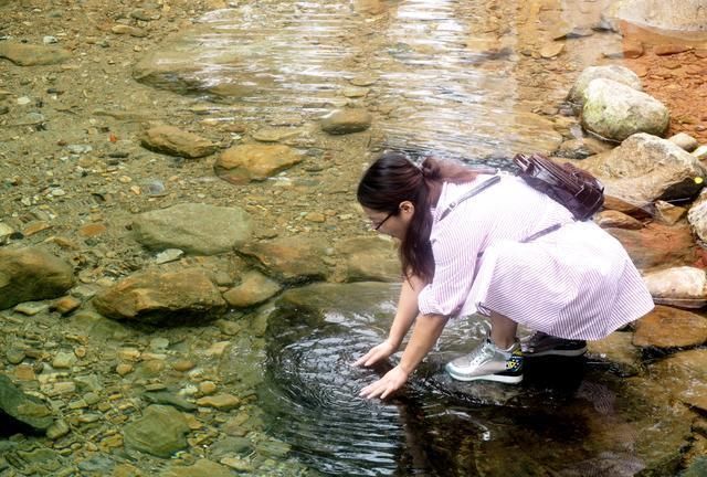 寻找深山藏宝图，养蜂老人独守林区，甜蜜的背后是孤独