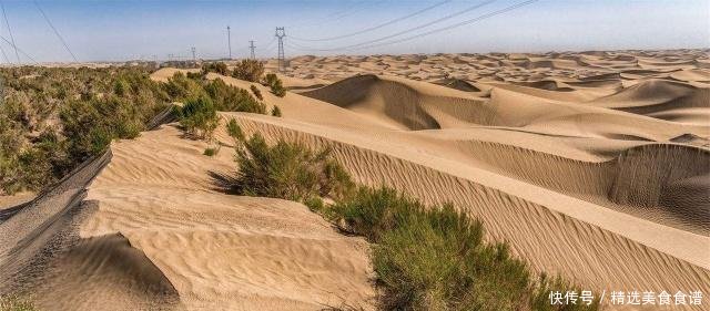 我国投资数亿，对塔克拉玛干沙漠进行植树造林，如今成了这样