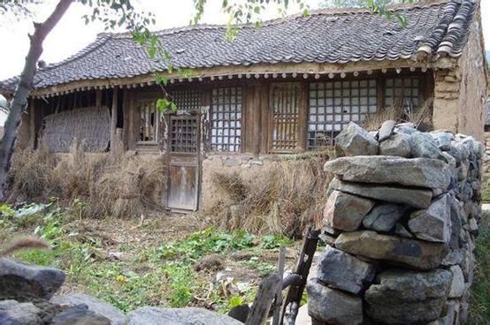 农业的突破口在哪，回农村发展怎么样？