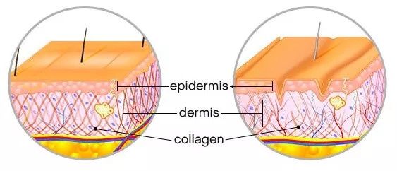 在闻风丧胆的“照妖镜”下同台battle，为什么高圆圆放肆大笑也不