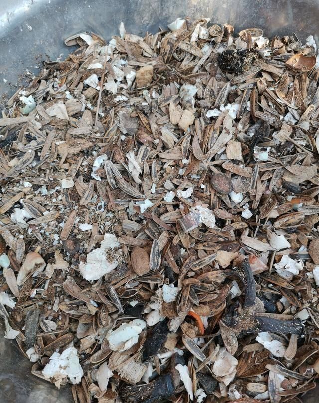  「植物」兰花的4个小“癖好”，满足它，就能开花不断！