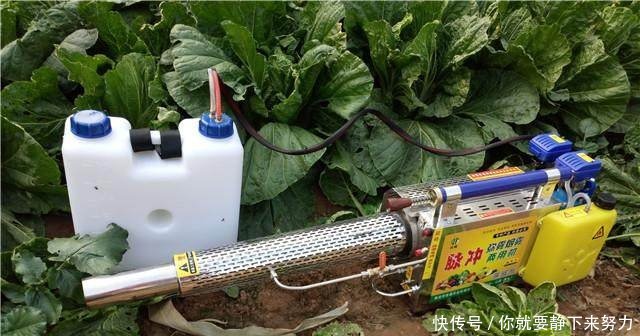 未来10年的农村，什么样的农村人，不会被淘汰反而更赚钱