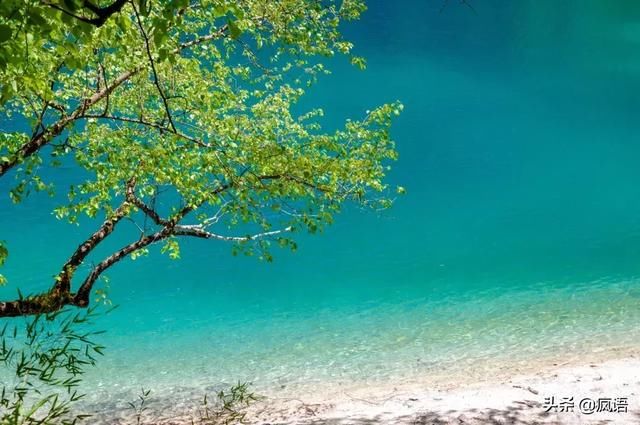 这几个地方景色太美还免费，网友大呼：辞职也要去看看