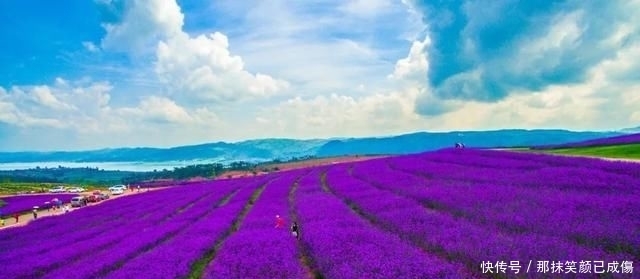 全世界7个最浪漫的地方,中国只有的这个,在新疆!