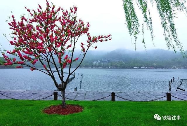  烟雨■春春欲动丨城南烟雨