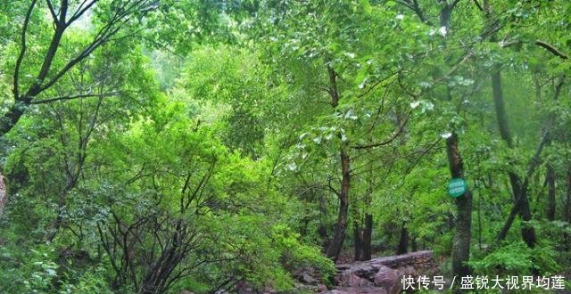 这个景区是河北省五大高峰之一,有200多个景点,可却不敢叫做山