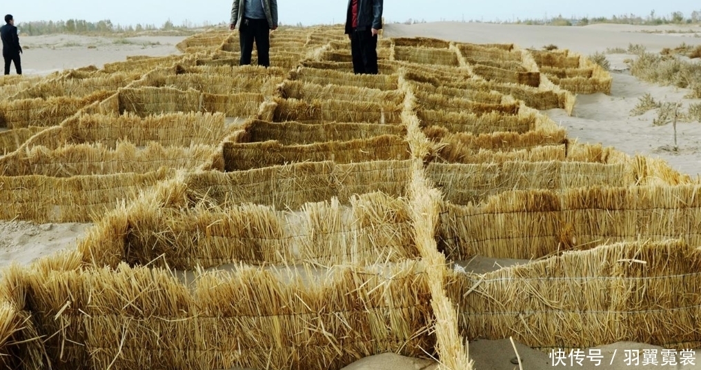  国人：国人发明的草方格：是世界治沙史的奇迹，被国外称为“中