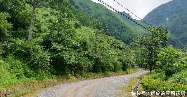 大名鼎鼎的24道拐，半价50元上山看一条盘山路，你觉得值吗