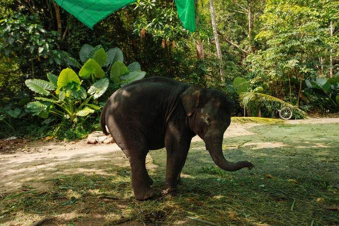 【女神级游记】与我的小甜心在苏梅岛,享受阳光、海滩
