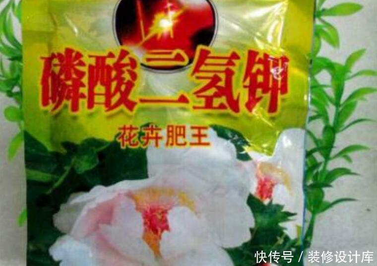  『生长习性』此1种花，花期超长，能开9个月，养一盆天天有花看