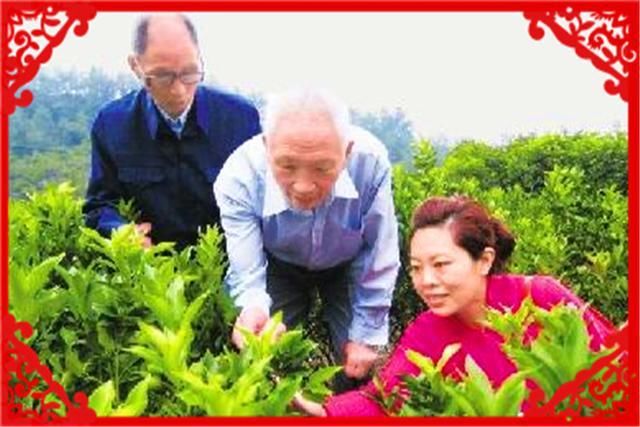  [农村有机肥]农村普通老百姓，如何能让自己一年挣到10万元？这