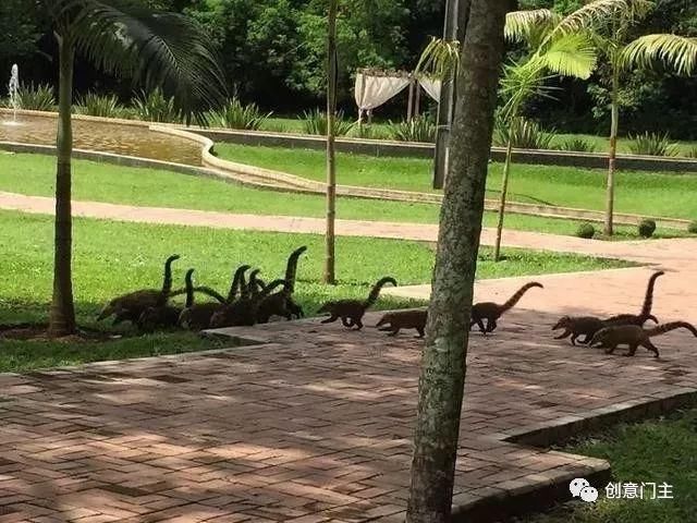 30张令人产生错觉的照片，忍不住多看几遍！