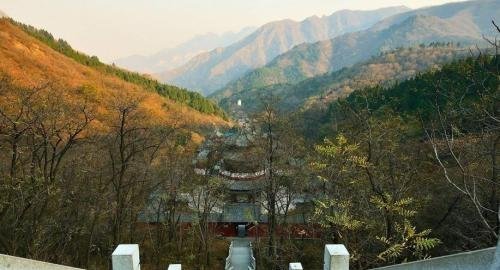 2019年山东省最穷的四个城市，第三是枣庄市，第一是日照市