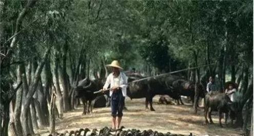  「小贩」80年代珍贵旧照，忙碌却很开心