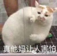 在抖音易容术面前，整容真的弱爆了