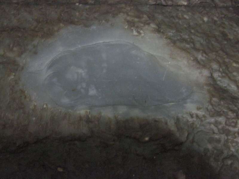  #男子#农村男子在河边捡到块奇石，送去鉴定后，以5000万的价格