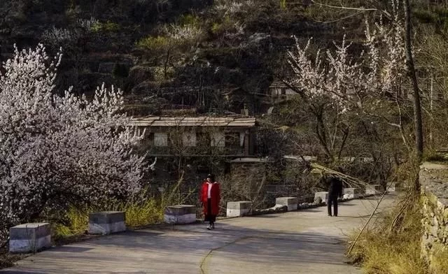 2020年,这个新年假期太长了,待到春暖花开时,相约太行大峡谷