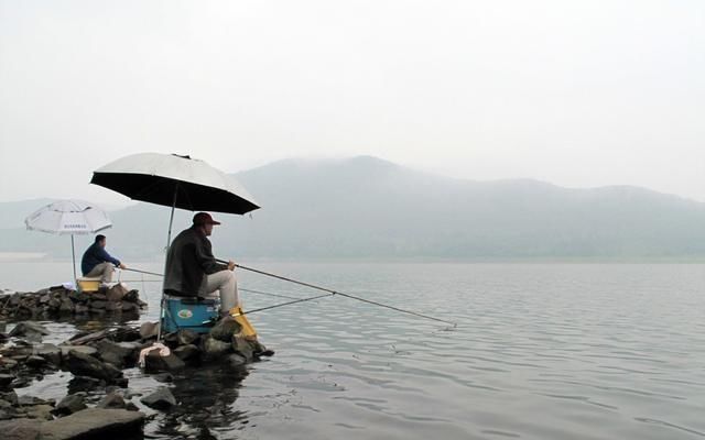  「钩饵下沉的速度」调平水时钓目总是忽高忽低，别以为水底不平，其实另有原因